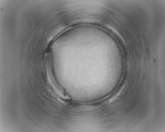 X0000057580977200510171703