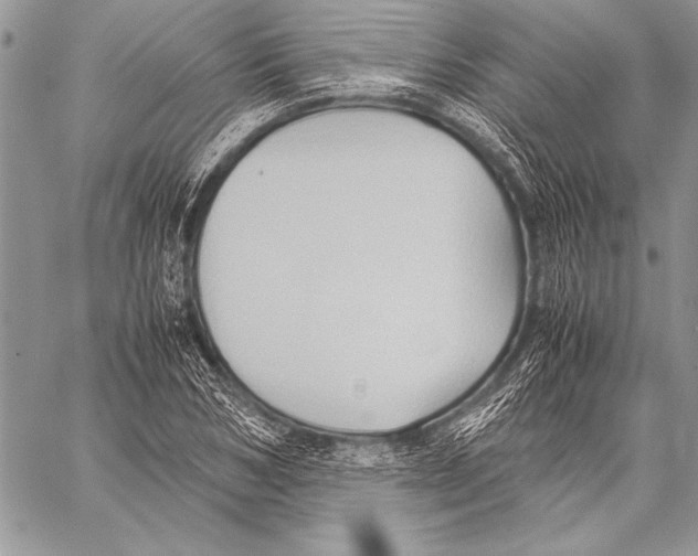 X0000057580978200510171703