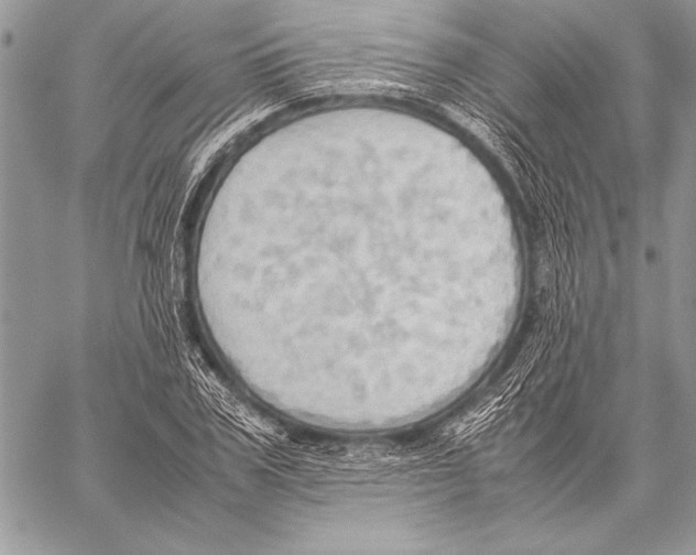 X0000057580979200510171703