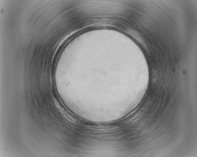 X0000057580980200510171703