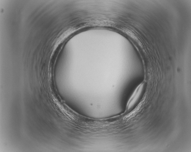 X0000057580981200510171703