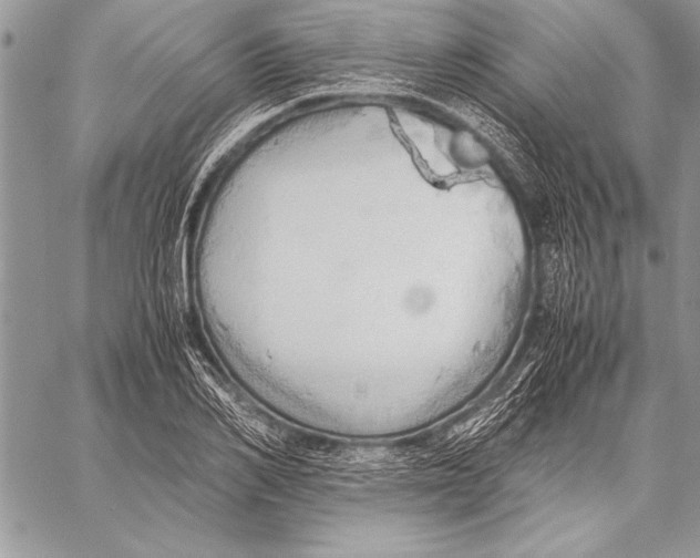 X0000057580982200510171703