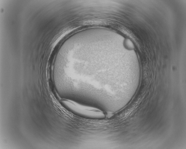 X0000057580983200510171703