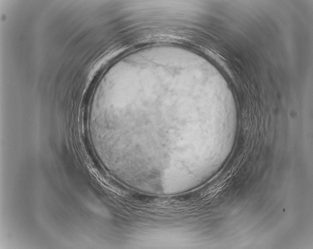 X0000057580987200510171703