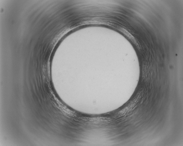 X0000057580988200510171703