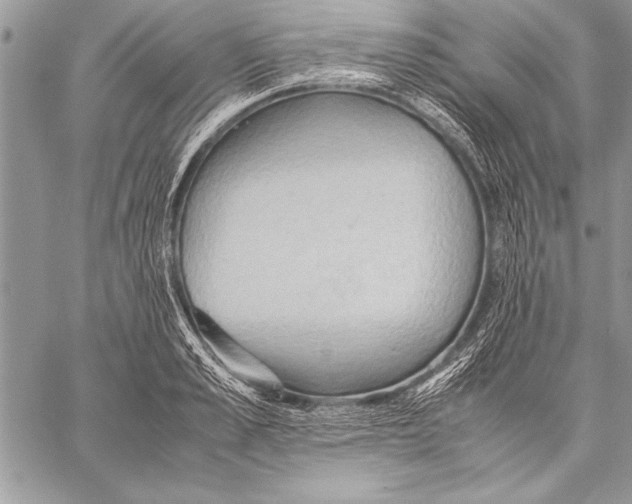 X0000057580989200510171703