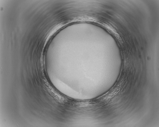 X0000057580990200510171703