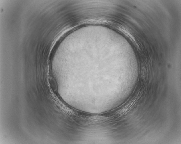 X0000057580992200510171703