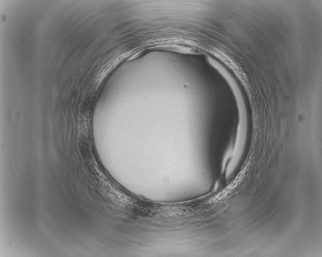 X0000057580993200510171703