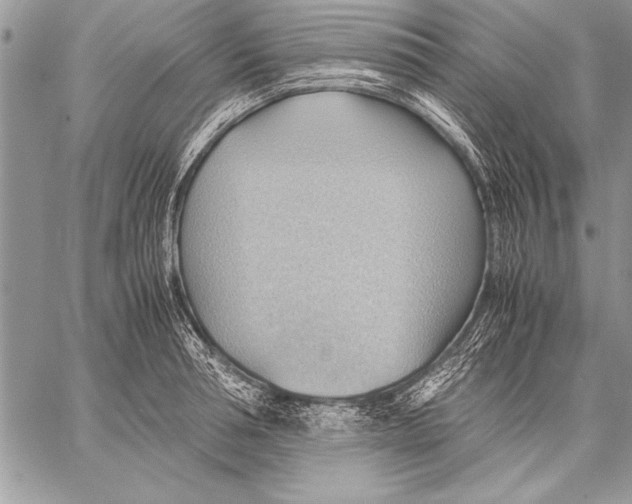 X0000057580994200510171703