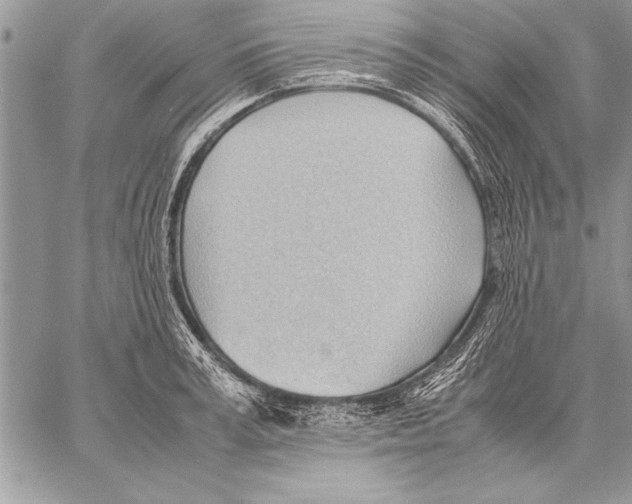 X0000057580995200510171703