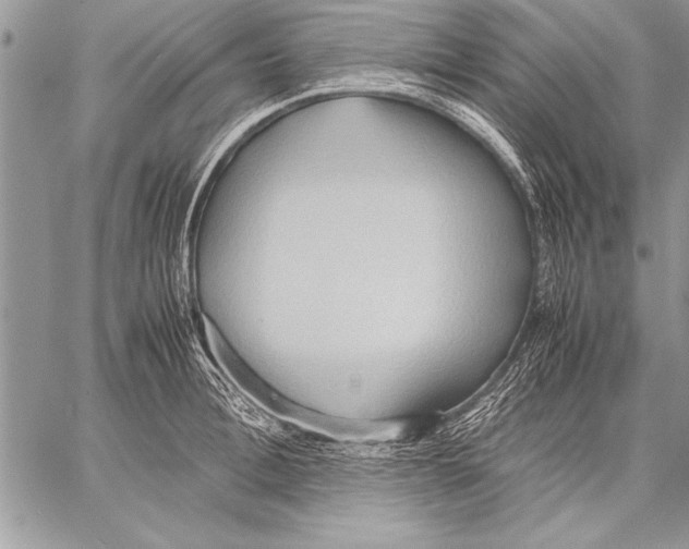 X0000057580996200510171703