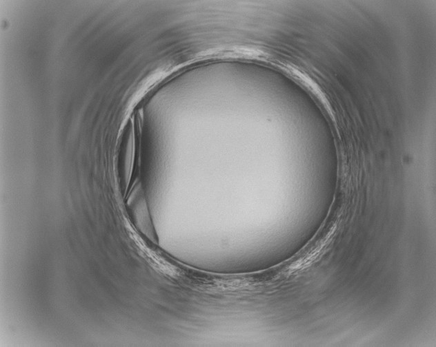 X0000057580997200510171703