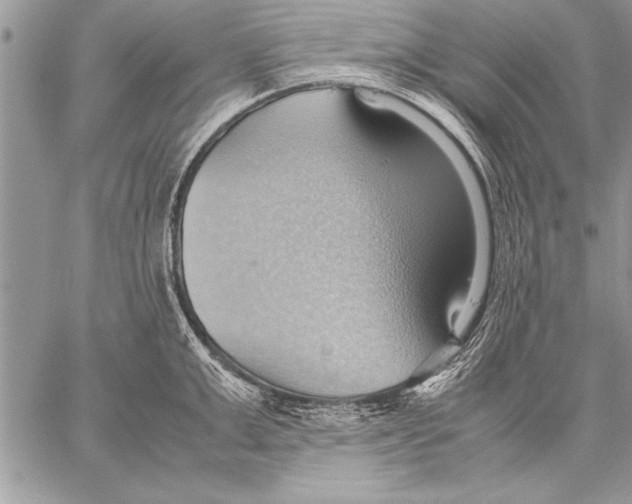 X0000057580999200510171703