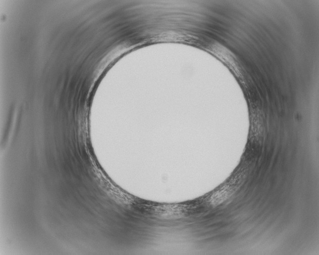 X0000057581000200510171703