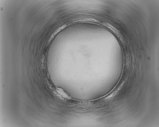 X0000057581001200510171703