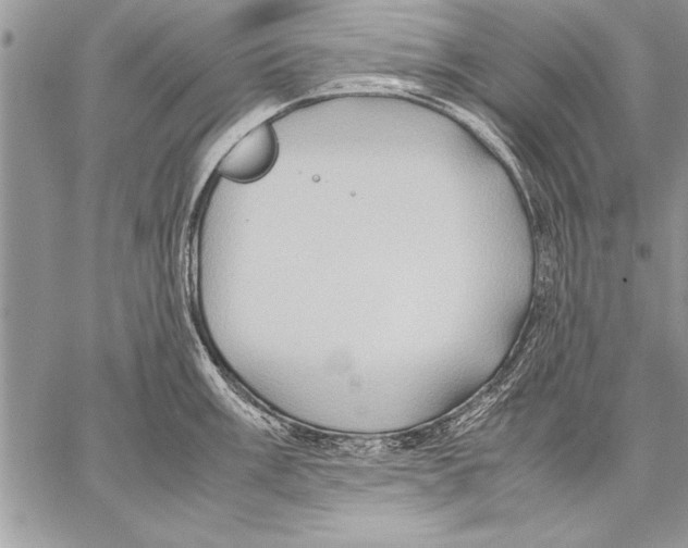 X0000057581003200510171703