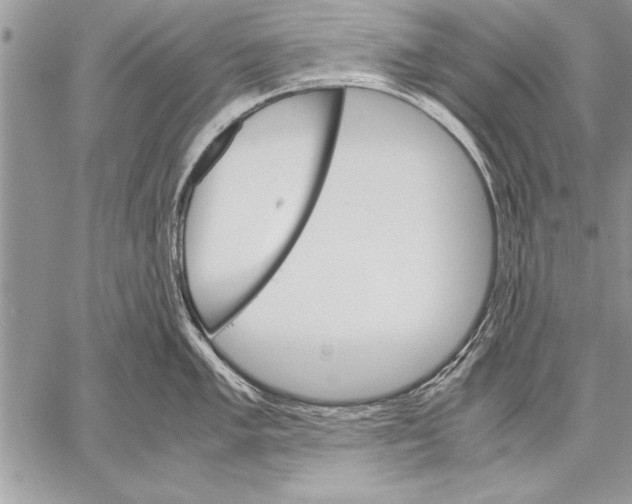 X0000057581005200510171703