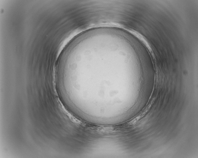 X0000057581006200510171703