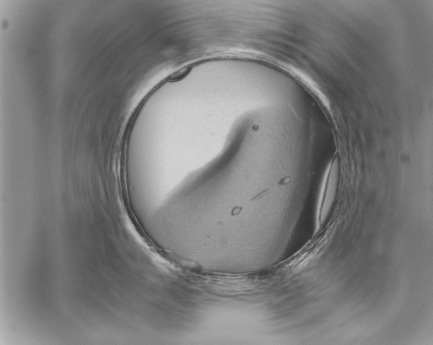 X0000057581007200510171703