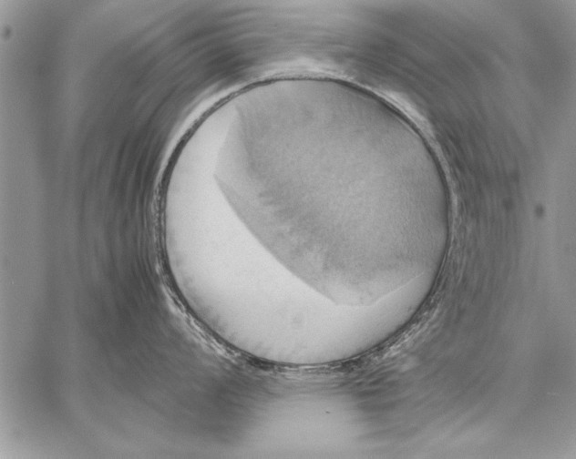 X0000057581008200510171703