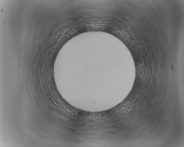 X0000057581009200510171702