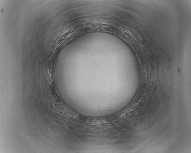 X0000057581013200510171702