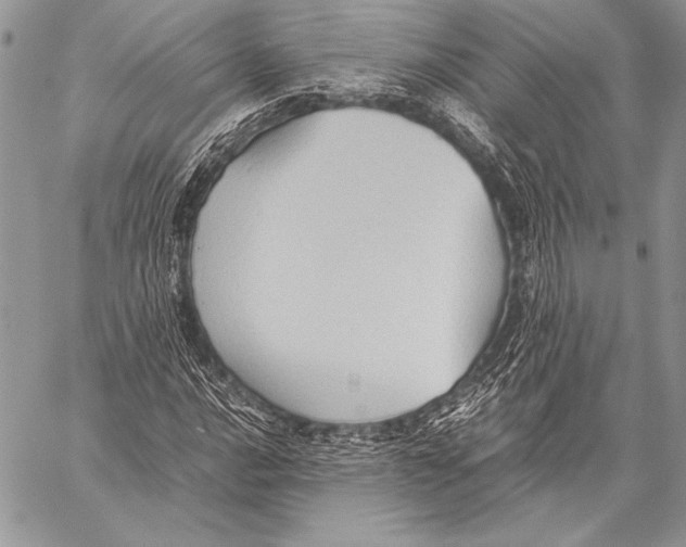 X0000057581016200510171702