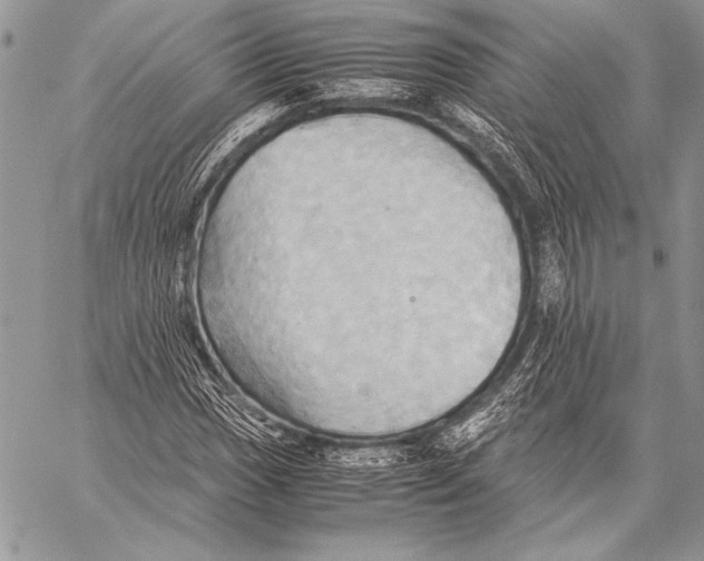 X0000057581017200510171702