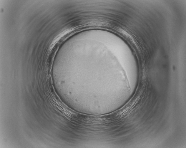 X0000057581019200510171702