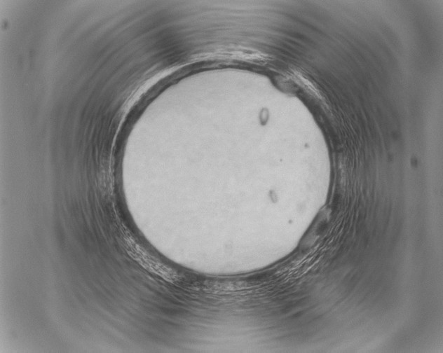 X0000057581020200510171702