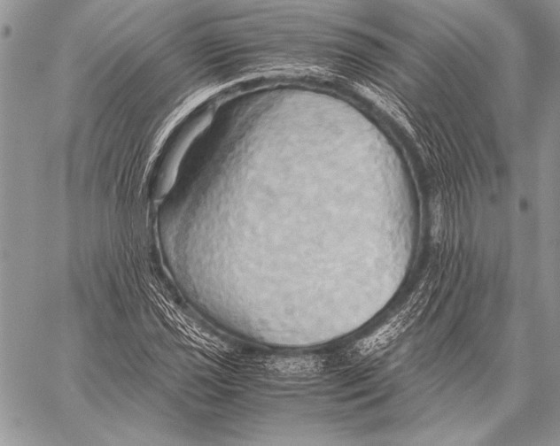 X0000057581021200510171702