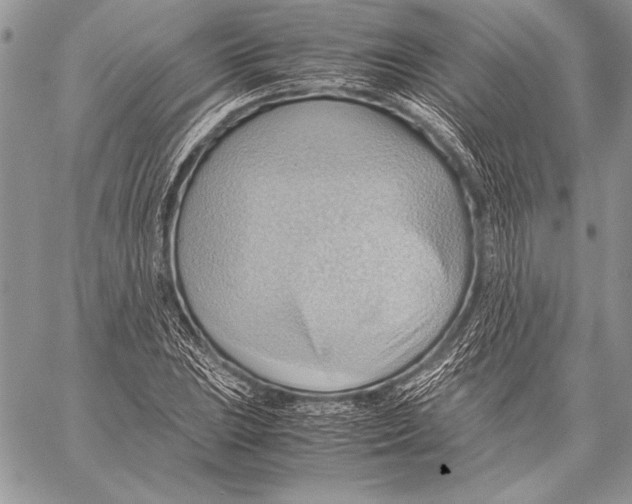 X0000057581023200510171702