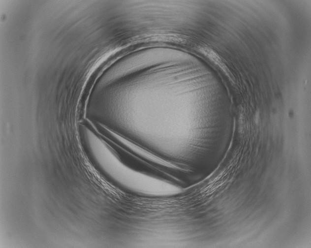 X0000057581024200510171702