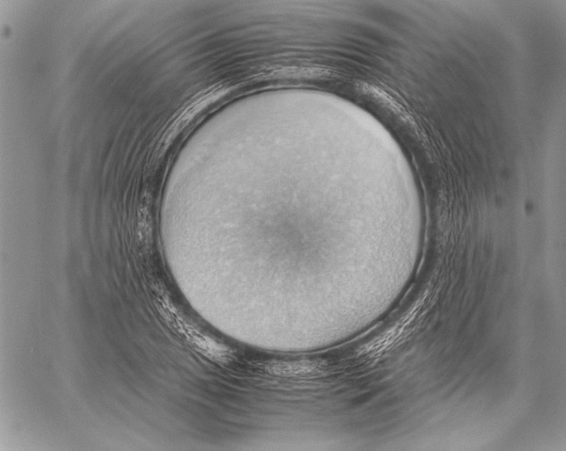 X0000057581025200510171702