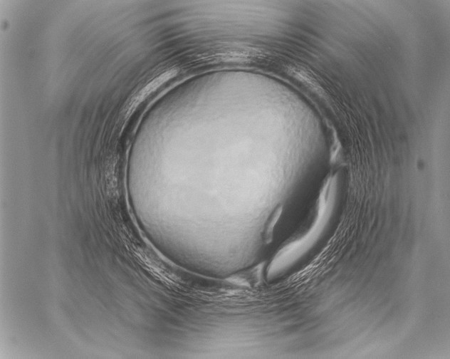 X0000057581026200510171702