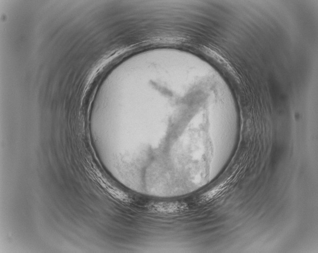 X0000057581027200510171702