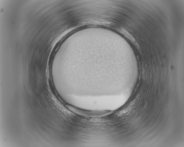 X0000057581028200510171702