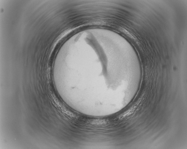 X0000057581029200510171702