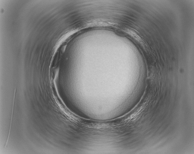 X0000057581030200510171702