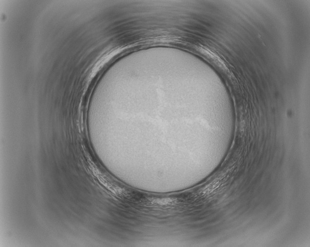 X0000057581031200510171702