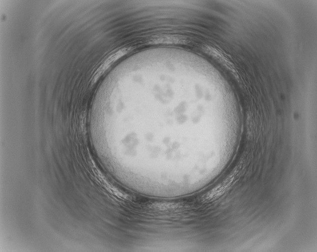 X0000057581033200510171702