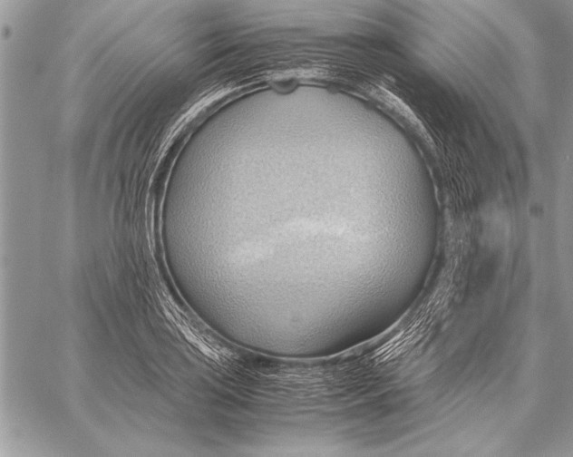 X0000057581035200510171702