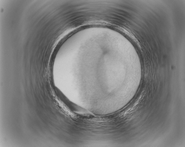 X0000057581037200510171702