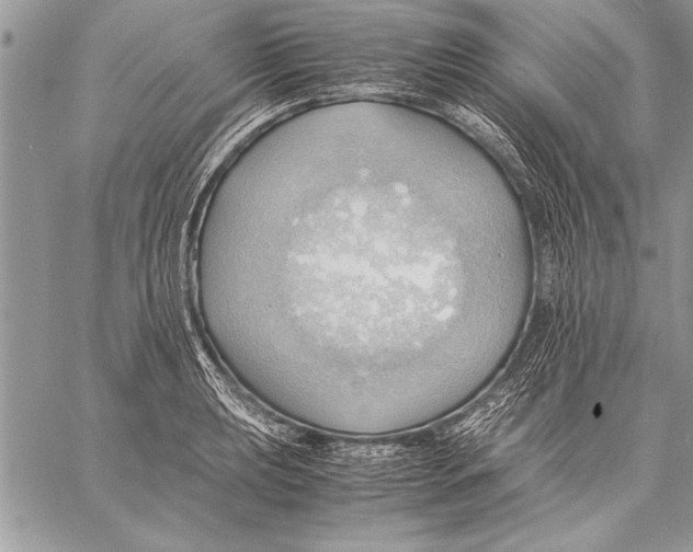 X0000057581039200510171702