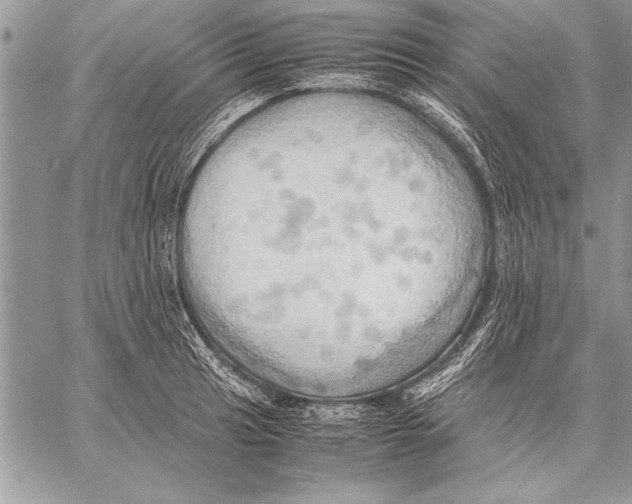 X0000057581041200510171703