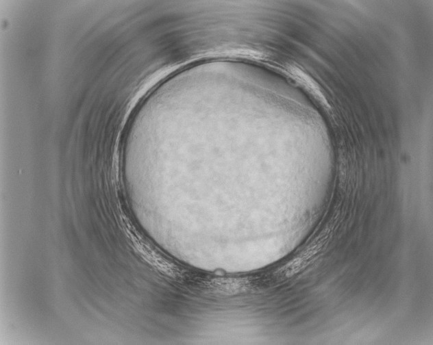 X0000057581044200510171703