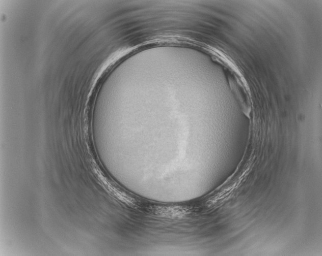 X0000057581045200510171703