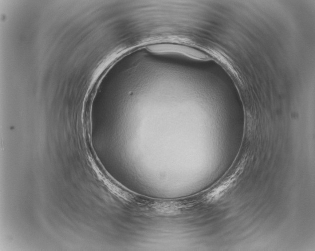 X0000057581046200510171703