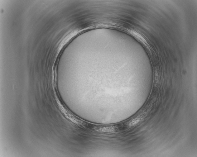 X0000057581047200510171703